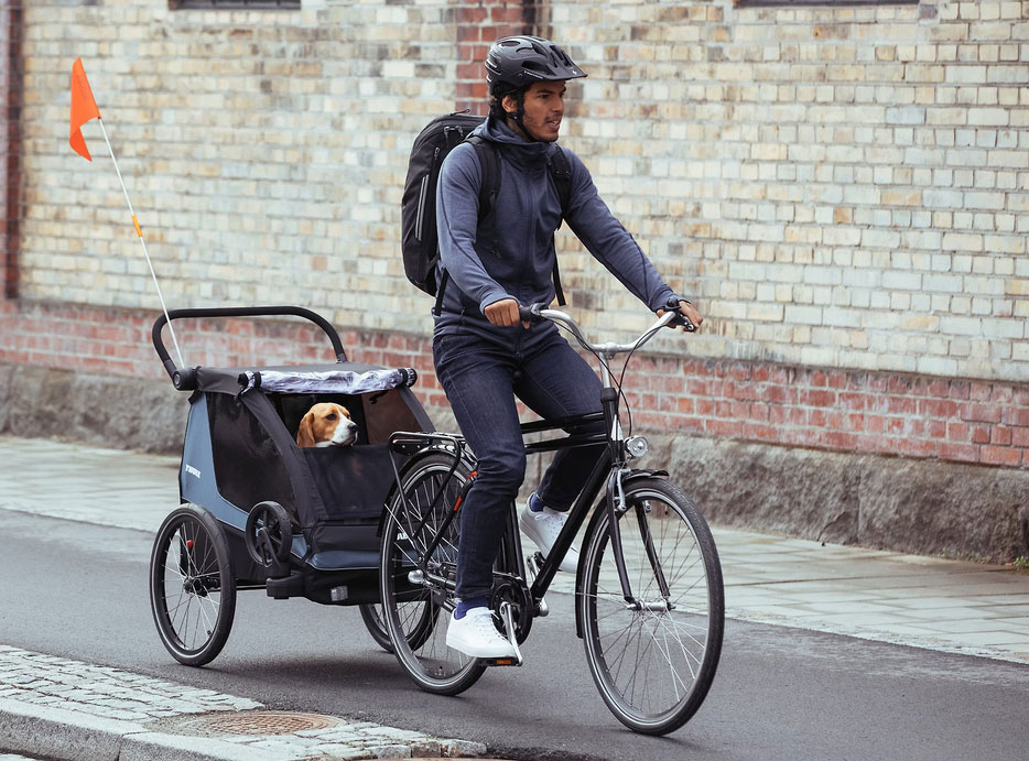Kutyaszállító betét THULE COURIER-hez - Dog Trailer Kit