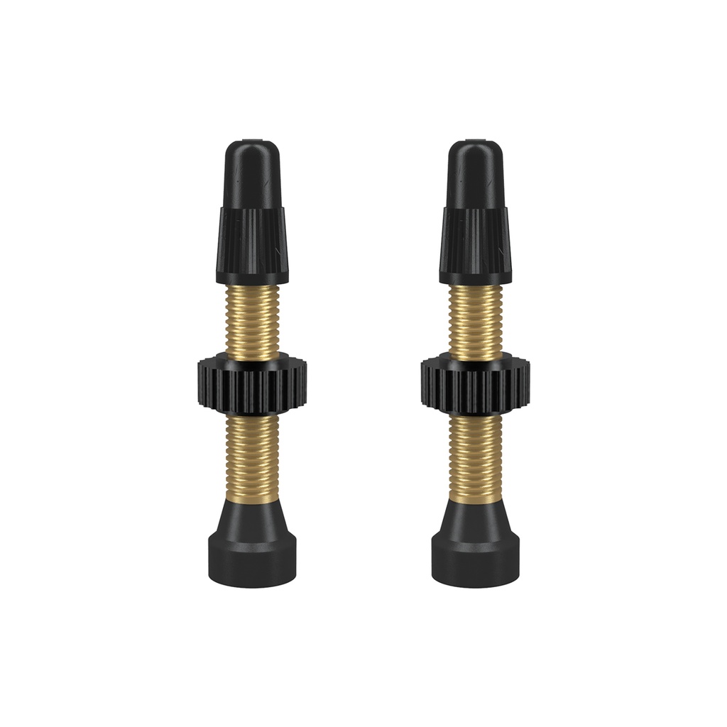 WTB Tubeless szingó szelep garnitúra [46 mm]
