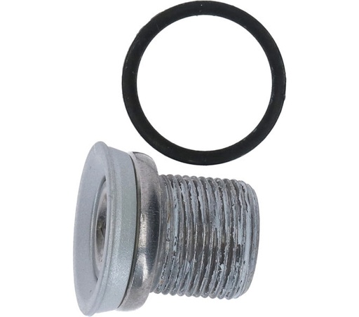 [#PL-Y1MY98010] SHIMANO FC-R345 CRANK ARM FIXING BOLT UNIT (CRANK ARM CAP : SILVER)