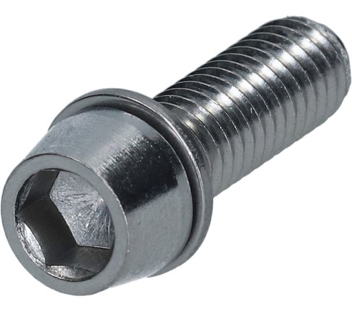 [#PL-Y1GS22000] SHIMANO CLAMP SCREW WITH WASHER (M6 X 19)