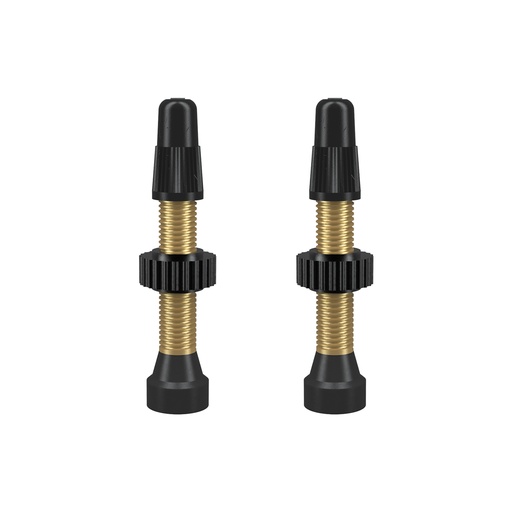 [#BL-178643] WTB Tubeless szingó szelep garnitúra [46 mm]