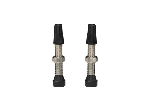 [#BL-253779] WTB Standard Tubeless (RVC) szingó szelep [ezüst, 34 mm]